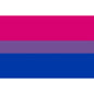 PRIDE - BISEXUELLES FLAGGENARMBAND 90 X 150