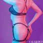 CALEXOTICS - EUPHORIA-REIT-OBERTEILGESCHIRR